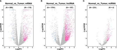 The Role of miR-4256/HOXC8 Signaling Axis in the Gastric Cancer Progression: Evidence From lncRNA-miRNA-mRNA Network Analysis